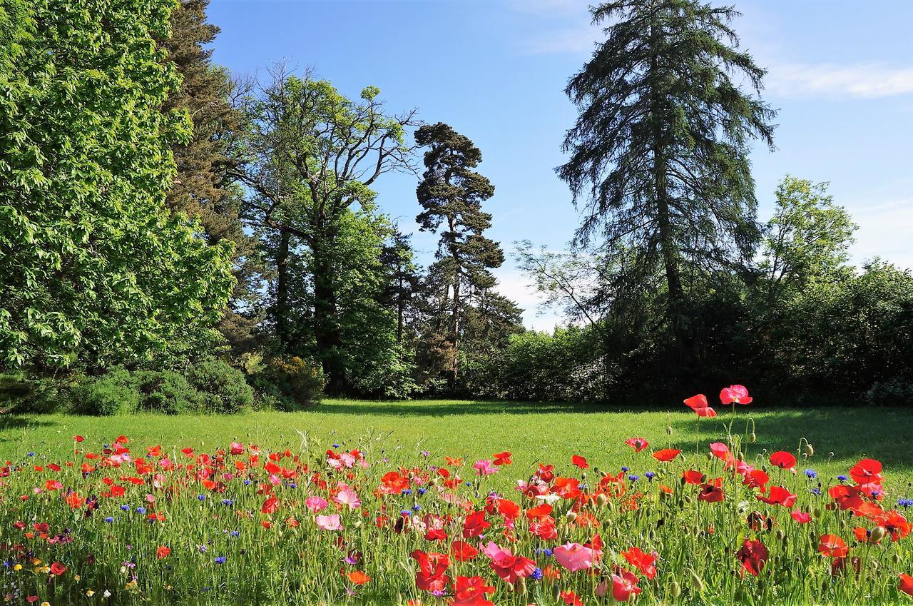 Domaine des Marequiers chambre Silène Saint-Germain-du-Teil Extérieur photo