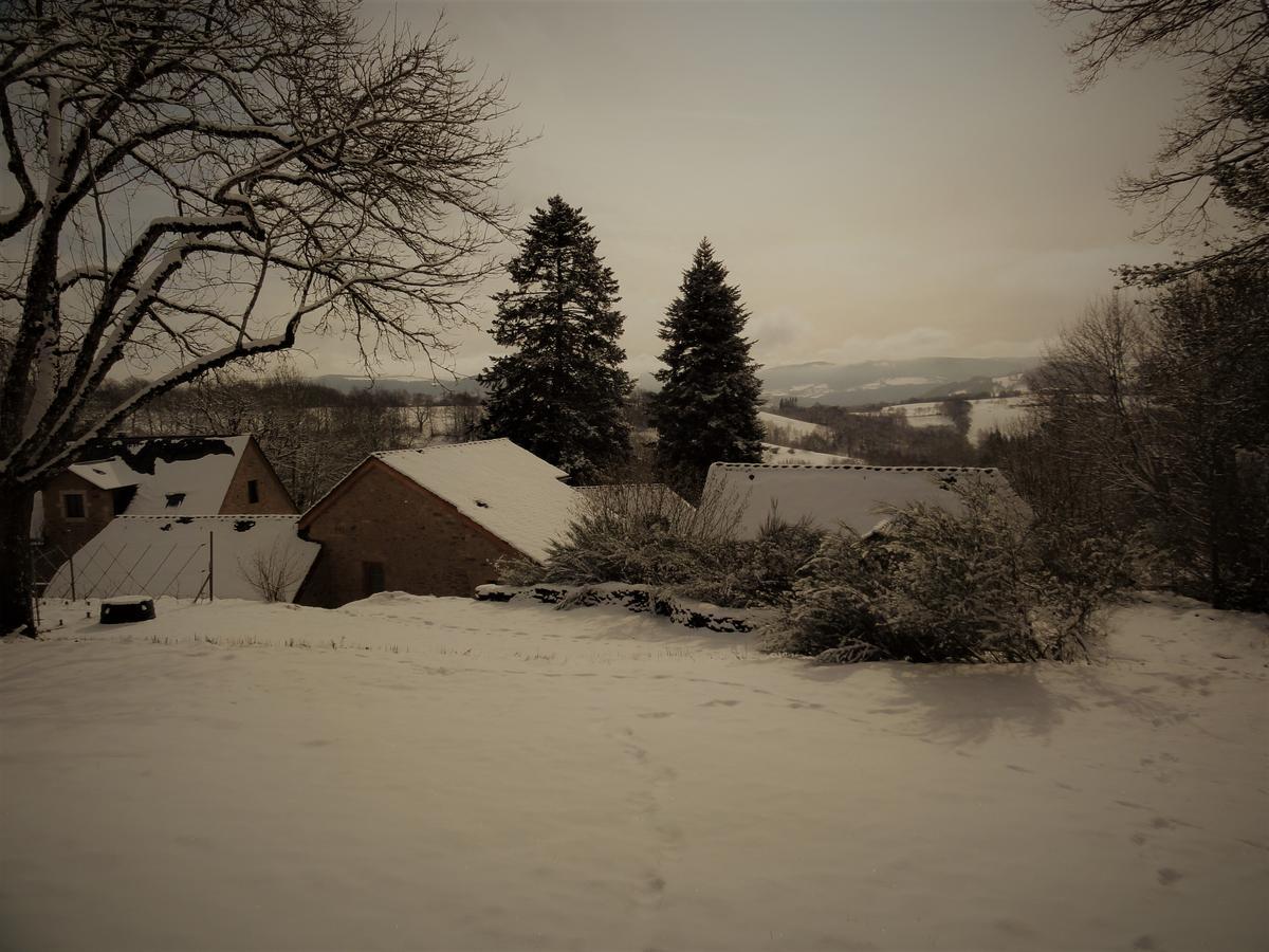 Domaine des Marequiers chambre Silène Saint-Germain-du-Teil Extérieur photo