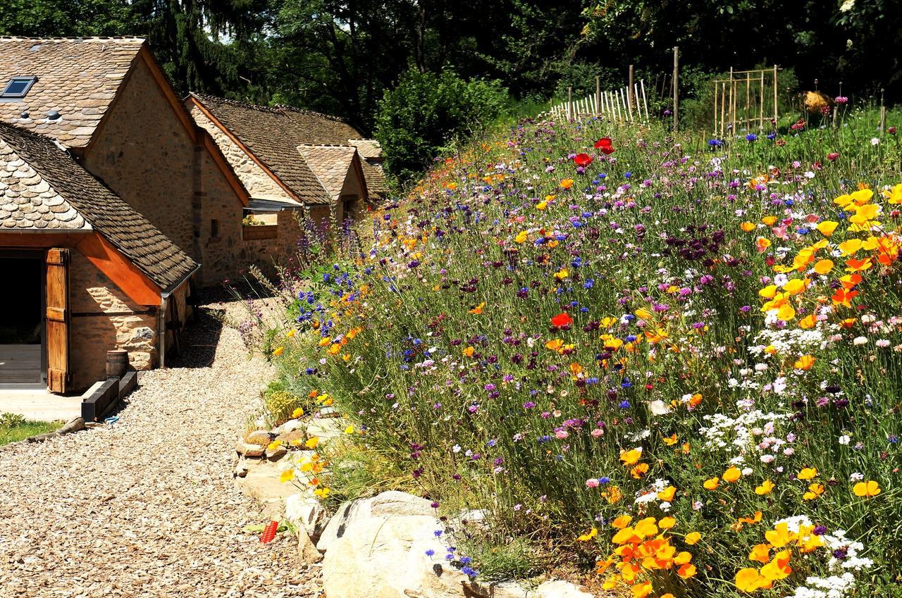 Domaine des Marequiers chambre Silène Saint-Germain-du-Teil Extérieur photo